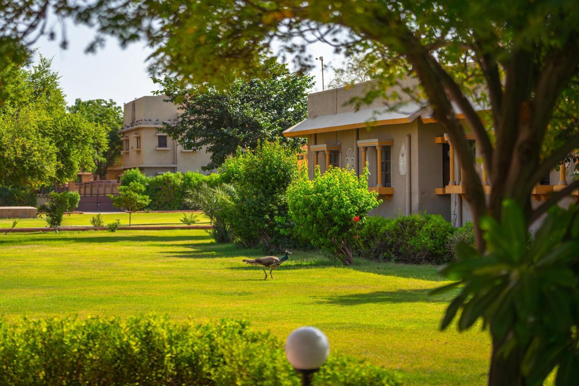 Thar Oasis Resort And Camp Dechu Екстериор снимка